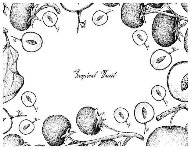 Vector hand drawn frame of indian jujube and grape tomatoes