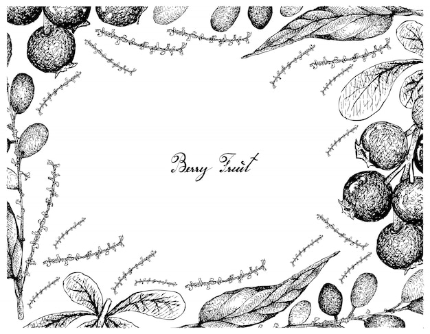 Vector hand drawn frame of lingonberries and lepisanthes rubiginosa fruits