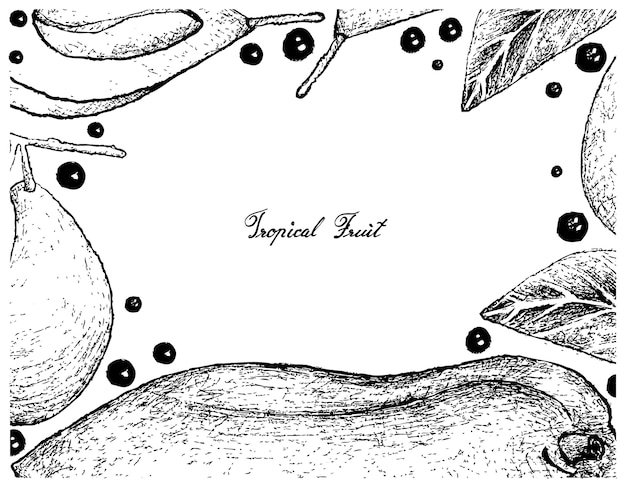 Рисованная рамка из свежей папайи и марианской сливы
