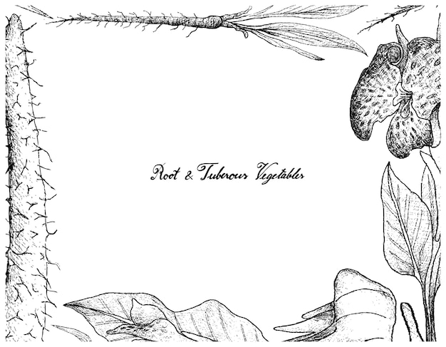 Hand drawn frame of root and tuberous vegetables