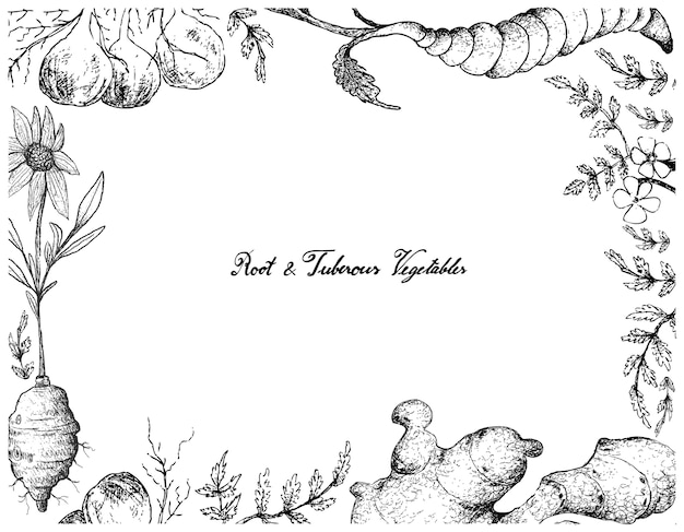 Hand drawn frame of root and tuberous vegetables