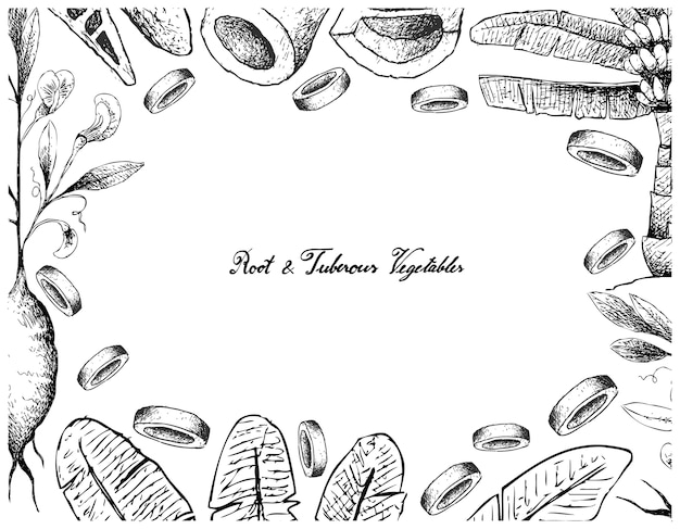 Hand drawn frame of root and tuberous vegetables