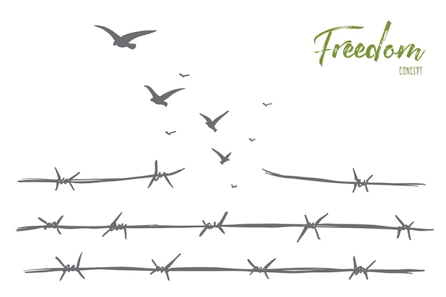 Hand drawn freedom concept sketch with broken barbed wire and flock