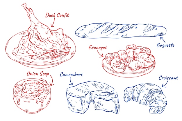 Vector hand drawn french cuisine