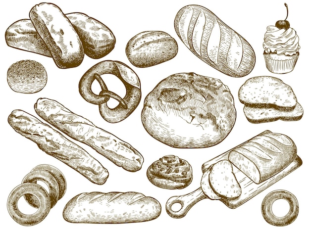 Vettore pane fresco disegnato a mano. panino al sesamo, pretzel e pane francese.