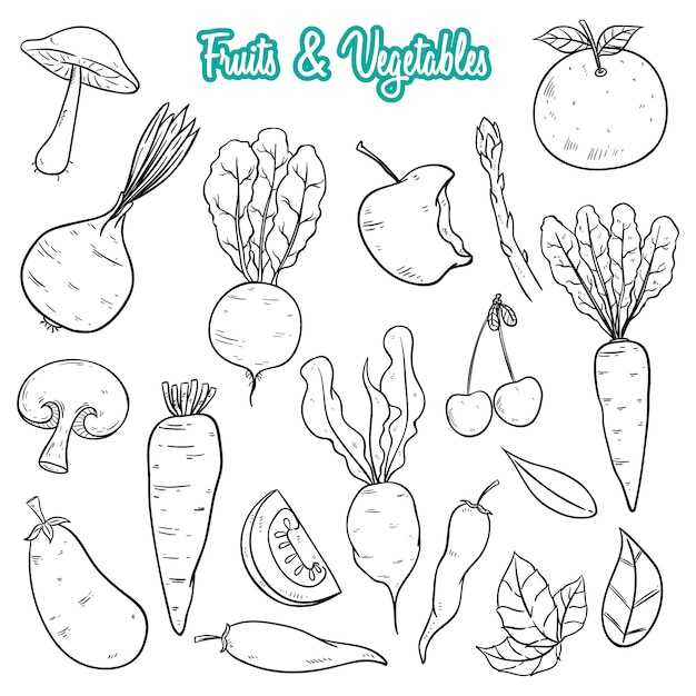 Hand Drawn Fresh Fruits and Vegetables Collection