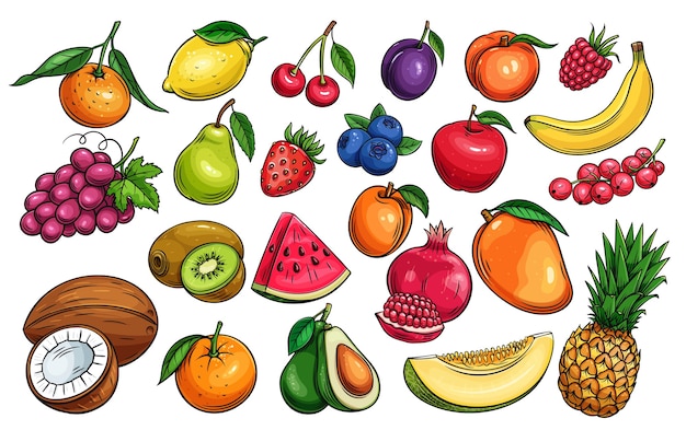 Vector hand drawn fruit and berries icons set