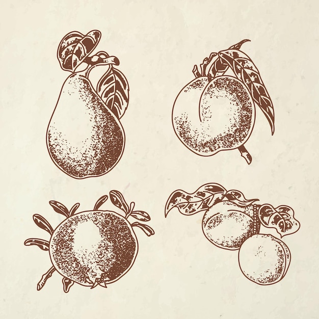 Hand drawn fruit collection