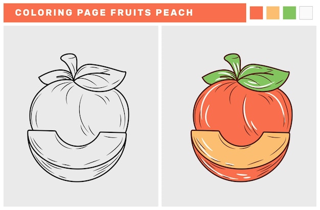 Hand Drawn Fruit Coloring Page Peach Vector