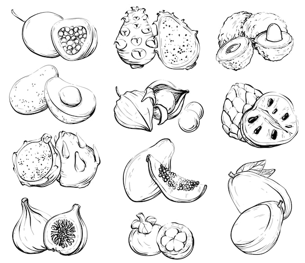 Hand drawn fruit healthy food