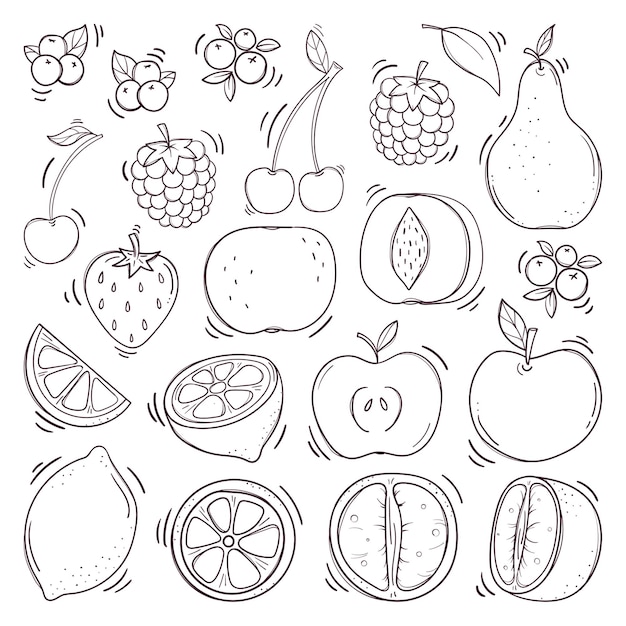 Vector hand drawn fruits and berries set.