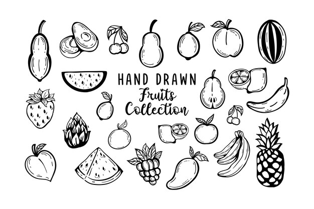 ベクトル 手描きの果物コレクション