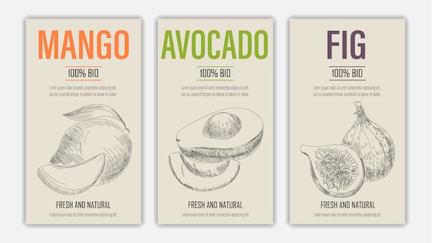 Frutti disegnati a mano di poster di mango, avacado e fichi. concetto di cibo sano stile vintage.