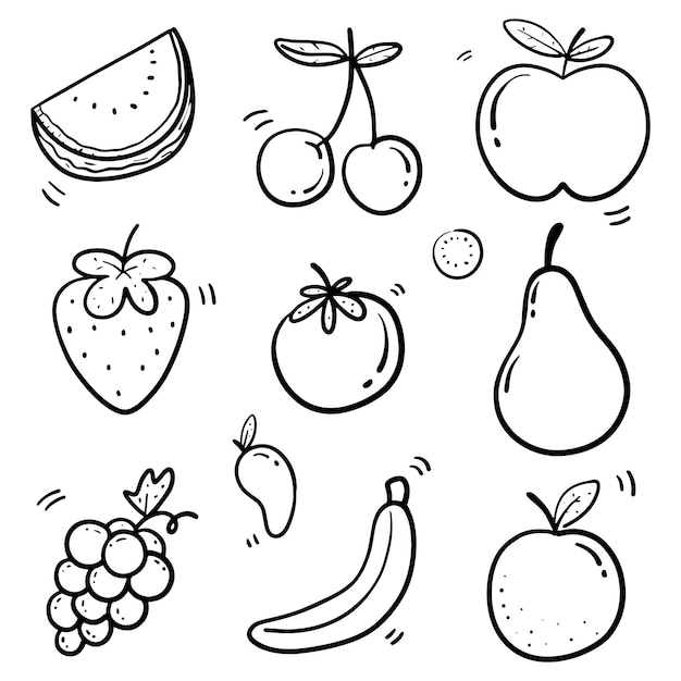 Vector hand drawn fruits in thin line doodle set in vector illustration