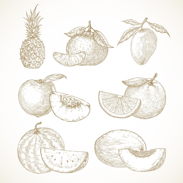 Raccolta di illustrazioni vettoriali di frutta disegnata a mano ananas mango mandarini pesche e anguria ...