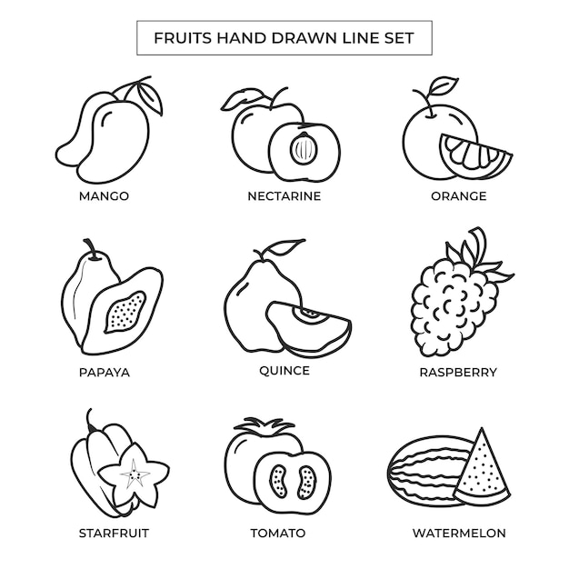 Vector hand drawn fruits with line art setfruits hand drawn with line art set