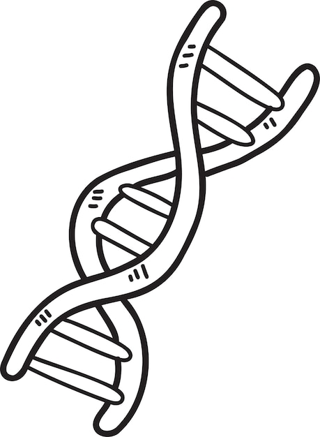 Vettore geni disegnati a mano e illustrazione del dna