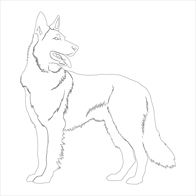 hand drawn german shepherd dog outline illustration