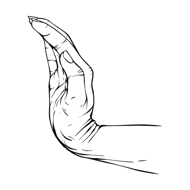 Vector hand drawn gesture sketch vector illustration line art
