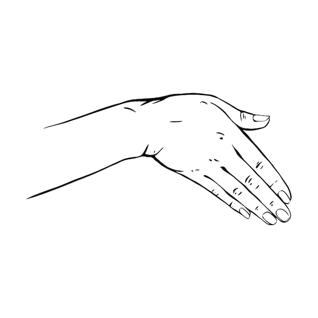 Vector hand drawn gesture sketch vector illustration line art