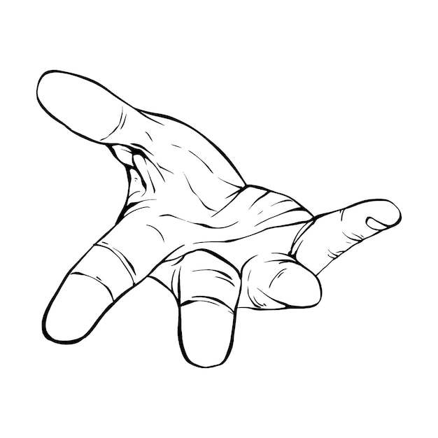 Vector hand drawn gesture sketch vector illustration line art