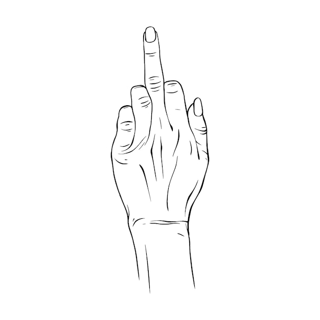 Vector hand drawn gesture sketch vector illustration line art