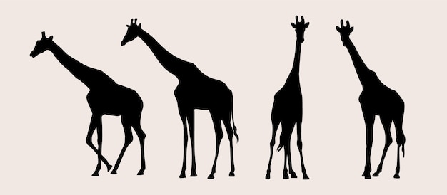 Vector hand drawn giraffe silhouette