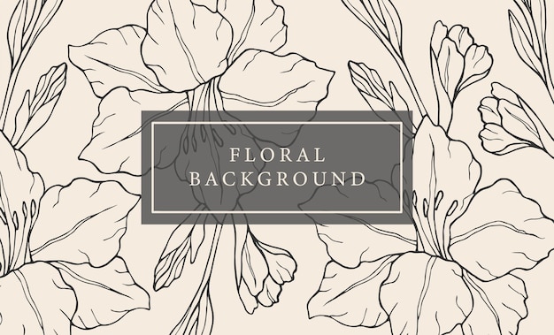 Hand drawn gladiolus flower background