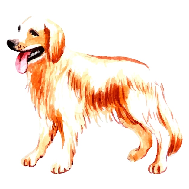 ベクトル 手描きのゴールデンレトリバー水彩犬