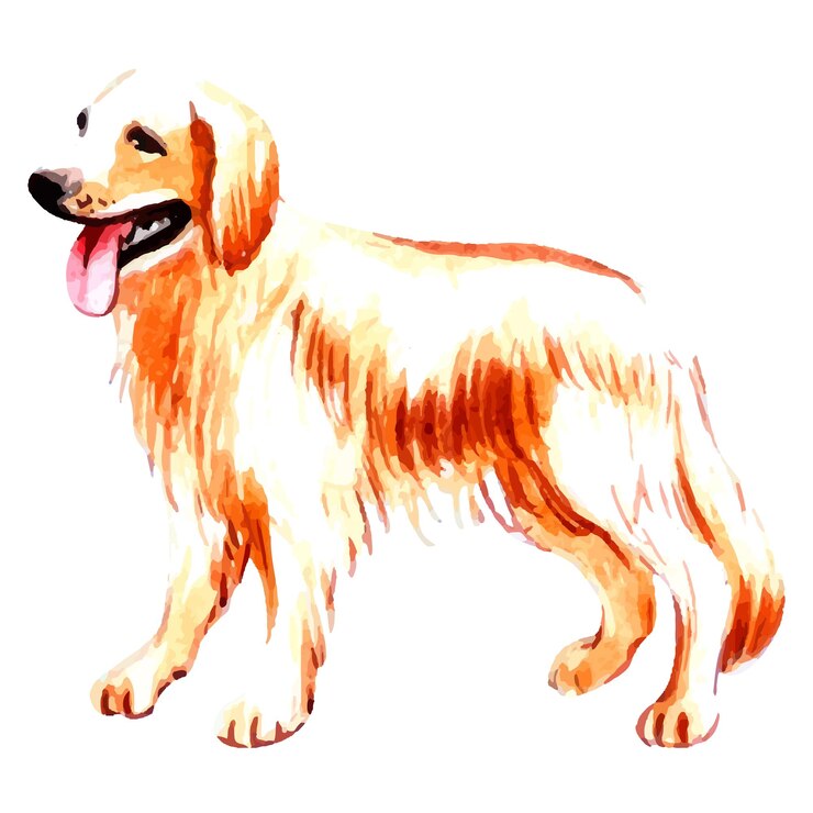 Vector hand drawn golden retriever watercolor dog