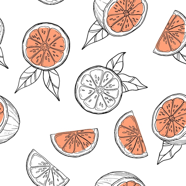 Hand drawn grapefruits, oranges pattern on white background