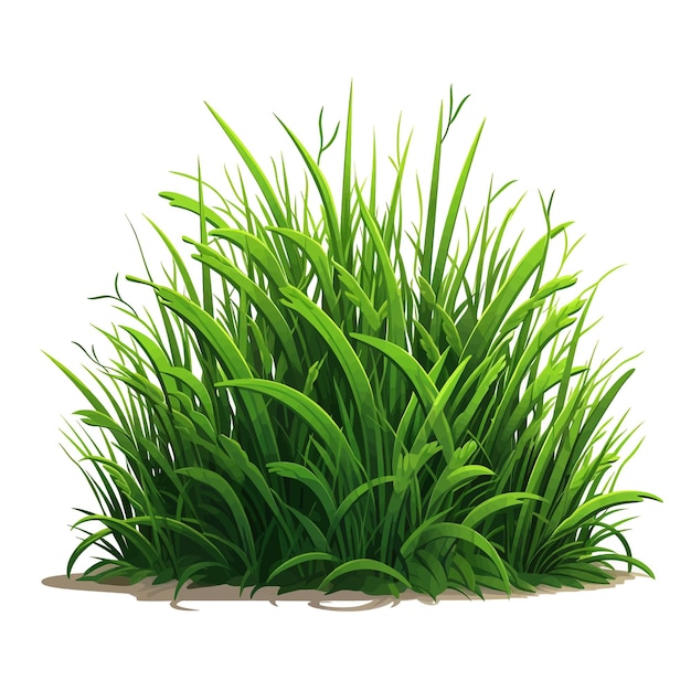 Disegnato a mano grass cartoon vector illustration clipart sfondo bianco