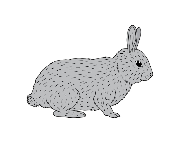 手描きの灰色のウサギが白い背景で隔離