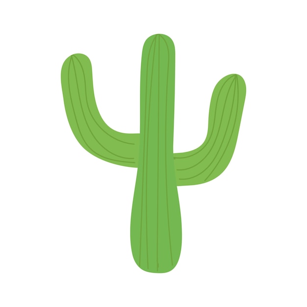 Hand drawn green cactus