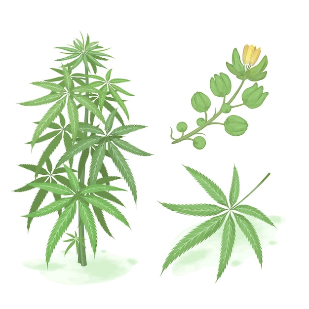 Vettore cannabis verde disegnata a mano. set di stile acquerello di cannabis