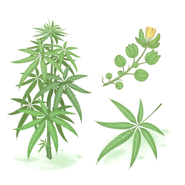 Vector hand drawn green cannabis. set of cannabis watercolor style