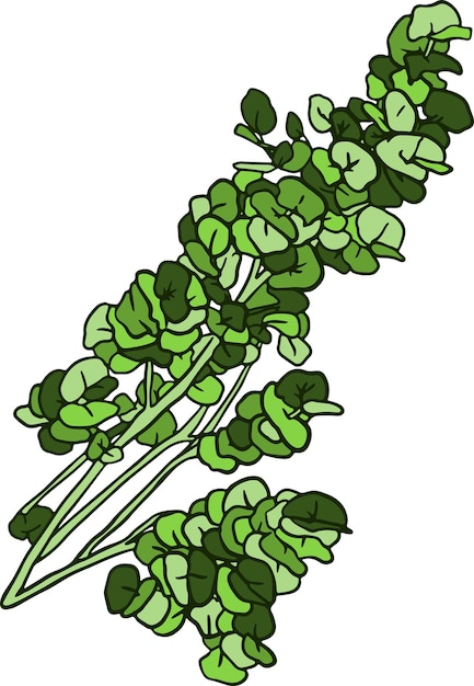 Vector hand drawn green round leaves branch