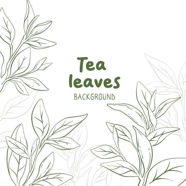 Hand drawn green tea leaves background