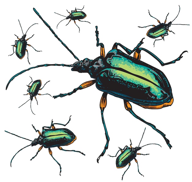 Insetti greenbug disegnati a mano