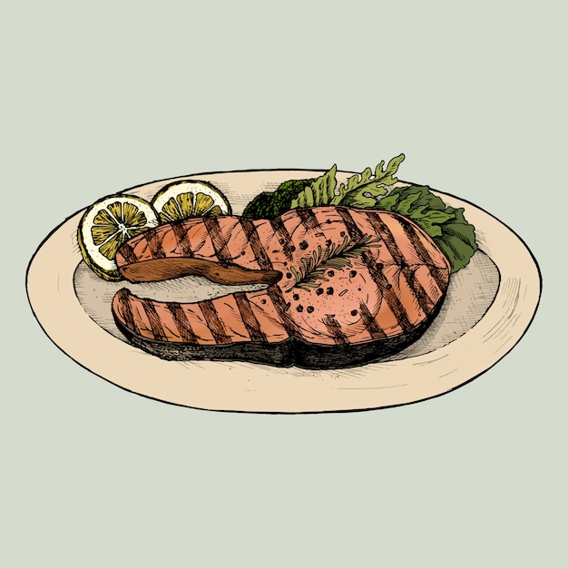 Vector hand drawn grilled fish steak