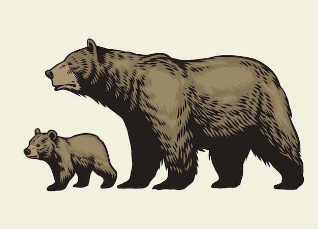 矢量手绘灰熊和她的幼崽