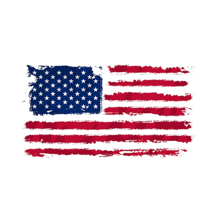 Vector hand drawn grunge american flag
