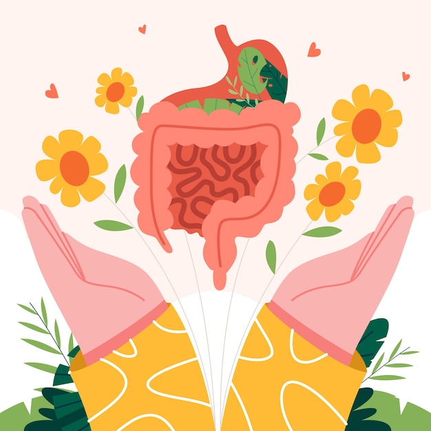 Hand drawn gut health illustration