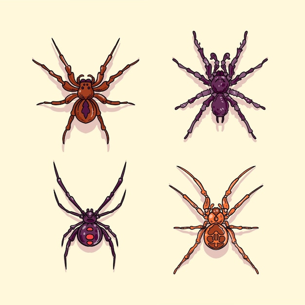 Вектор Коллекция рисованной хэллоуин пауков