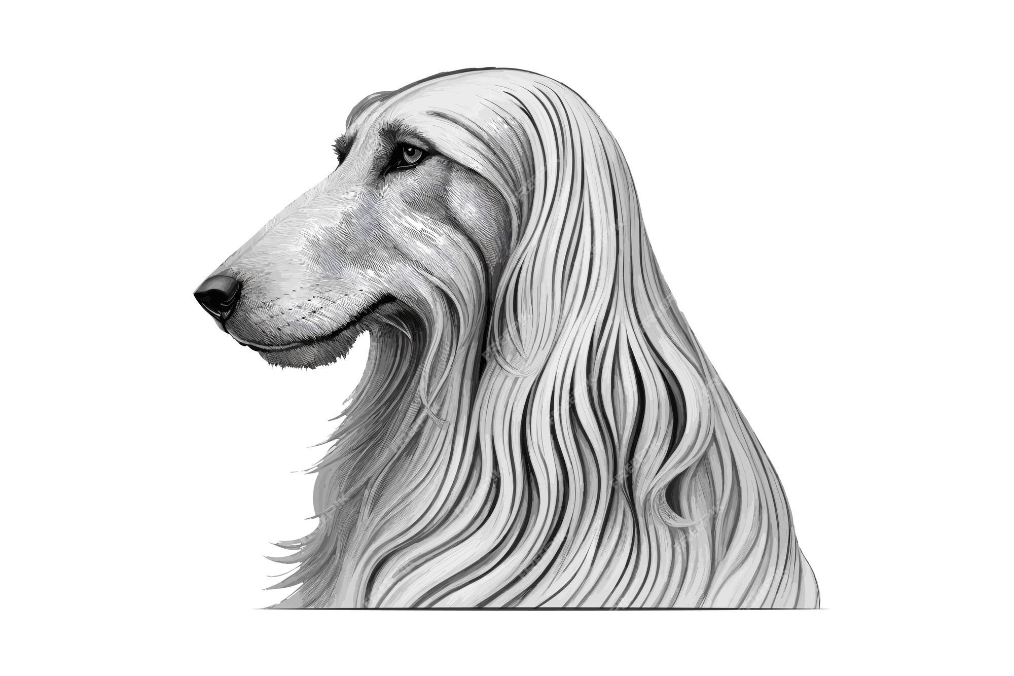 Premium Vector Hand Drawn Of Handsome Cute Dog Face Portrait Pen And premium-vector-hand-drawn-of-handsome-cute-dog-face-portrait-pen-and