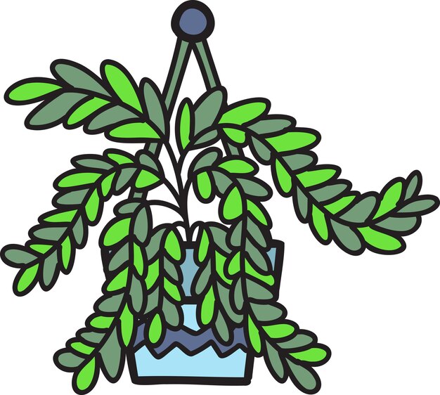 Hand Drawn hanging plant pots illustration