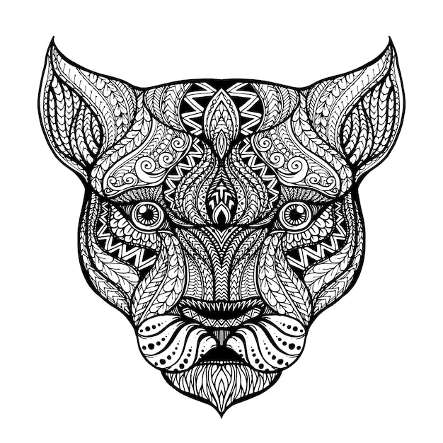 hand drawn  head of the lioness  background