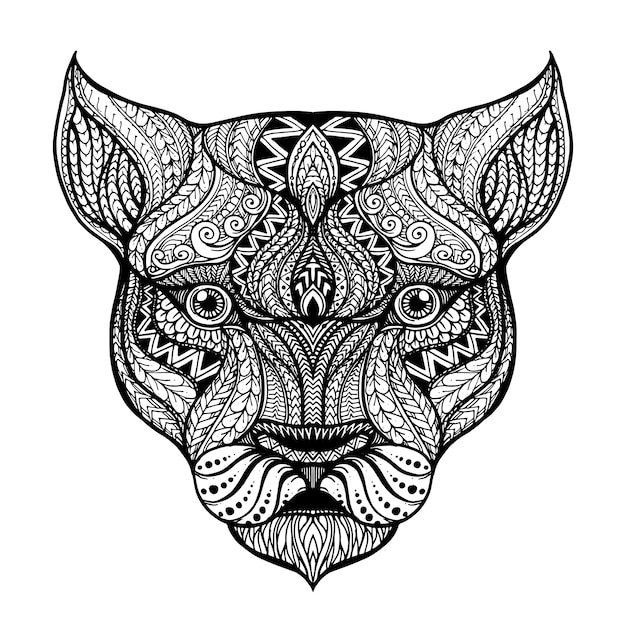 Hand drawn  head of the lioness  background