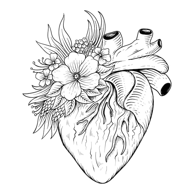 Hand drawn heart with flower anatomy line art black and white