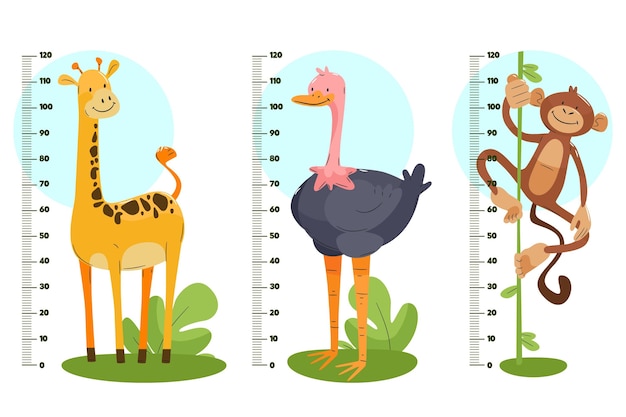 Vector hand drawn height meter pack